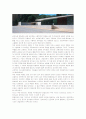 미스반데 로에, 로이드 라이트의 건축물 평론 3페이지