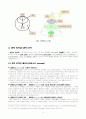 융의 분석심리학 10페이지