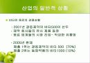 [마케팅] 비타천 마케팅분석 12페이지