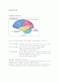 신경계의 특수간호 1페이지