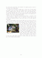 파블로 피카소 삶과 그의 미술에 관한 레포트 20페이지