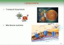 Biochemistry & Enzyme (생화학 및 효소 개론) 10페이지