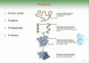 Biochemistry & Enzyme (생화학 및 효소 개론) 11페이지