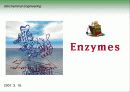 Biochemistry & Enzyme (생화학 및 효소 개론) 20페이지