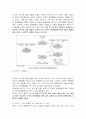 유아교사론 -부모의 원가족 경험과 자녀양육행동이 아동의 행동문제에 미치는 영향 6페이지