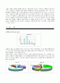 10대 미혼모의 실태와 사회문화적원인, 해결방안연구 2페이지