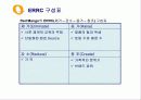 [마케팅]레드망고의 마케팅 전략 제안 (A+리포트) 3페이지