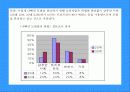 도브 마케팅사례분석(A+레포트) 7페이지