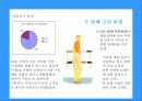 도브 마케팅사례분석(A+레포트) 16페이지