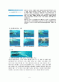 수영의 역사 및 영법 5페이지