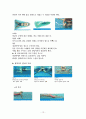 수영의 역사 및 영법 12페이지