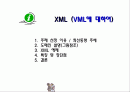 XML(VML언어에대하여) 1페이지