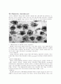 혈액(blood 血液)의 주요 내용과 기능  11페이지