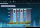 ERP 통합정보시스템 14페이지