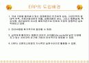 ERP도입현황과 기업적용사례 4페이지