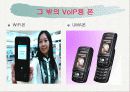 Voip(인터넷전화) 30페이지