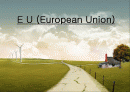EU(European Union-유럽연합)이란 무엇인가? 1페이지
