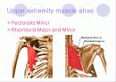 해부학 Anatomy에 대해 5페이지