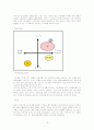 [마케팅조사론] 화장품 `스킨푸드` 광고기획서 13페이지