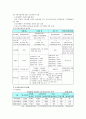 공적연금(국민연금)의 문제점과 방안 및 향후 전망 5페이지