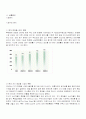 미샤(MISSHA)의 마케팅 분석 2페이지