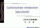 해당과정 glycolysis metabolism 1페이지