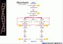 해당과정 glycolysis metabolism 18페이지