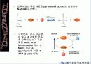해당과정 glycolysis metabolism 33페이지