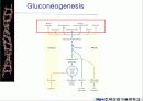 해당과정 glycolysis metabolism 35페이지