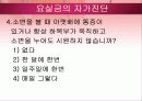 요실금 PPT 28페이지