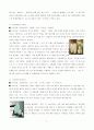 한국 한방화장품의 시장현황과 향후 발전전략 6페이지