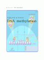 DNA 메틸화(DNA methylation) 1페이지