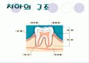치아관리 보건교육 5페이지