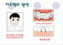치아관리 보건교육 28페이지