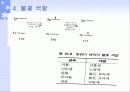 1족 원소 알칼리 금속 7페이지