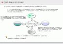 국제 협력 전략 5페이지