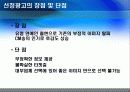 대부업체 광고 분석 8페이지