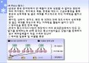 삼성전자 애니콜 마케팅 전략 16페이지