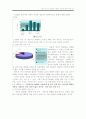 DMB서비스의 이동성과 수용자의 이상적인 경제적비용 12페이지