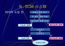 삼성전자 SCM 연구- SCM 구축 및 활용사례 14페이지