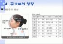 실내 공기 오염의 원인과 대책 21페이지