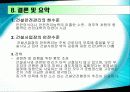 건설 안전 13페이지