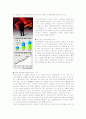 아동인권(성범죄, 낙태, 입양)의 문제와 보호 4페이지