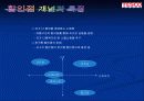 삼성테스코 한국에서의 성공요인-파워포인트자료 3페이지