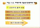 지역사회 정신보건서비스조직분석(A+발표) 5페이지