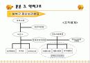 지역사회 정신보건서비스조직분석(A+발표) 16페이지