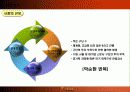 FC서울 마케팅 기획안 6페이지