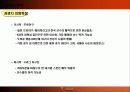 FC서울 마케팅 기획안 14페이지