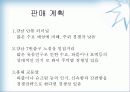 퓨전 주먹밥 사업 계획서 13페이지