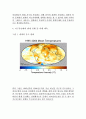 환경과학 지구온난화 현상 , 문제 및 대책 13페이지